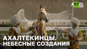 Ахалтекинцы: небесные создания