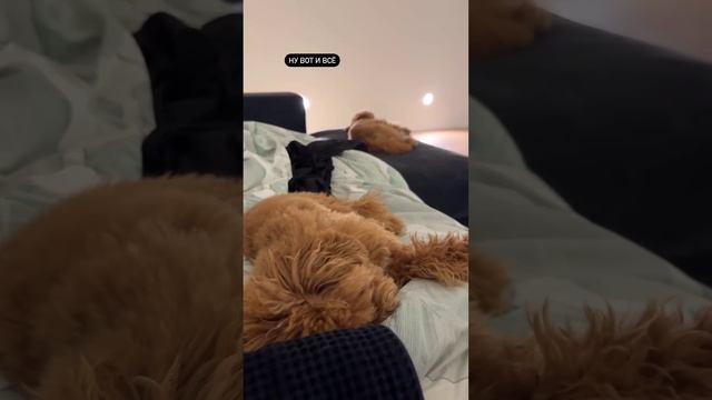 Алексей Жидковский встал пораньше и поехал по делам смотреть онлайн