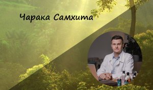 Чарака Самхита