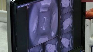 На ЦСКБ завершаются испытания аппарата "Бион-М"