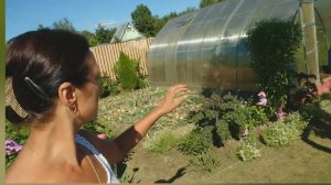 Видео привет с 6 соток 23 июля 2024 года. Хроника.