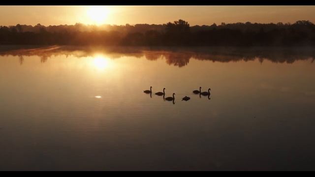 "Судьба, давай поговорим" Стих до слез.. смотреть онлайн