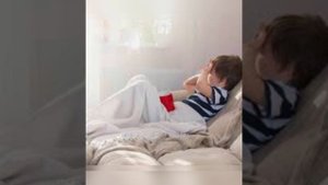 Гаршин « сказка о жабе и Розе»