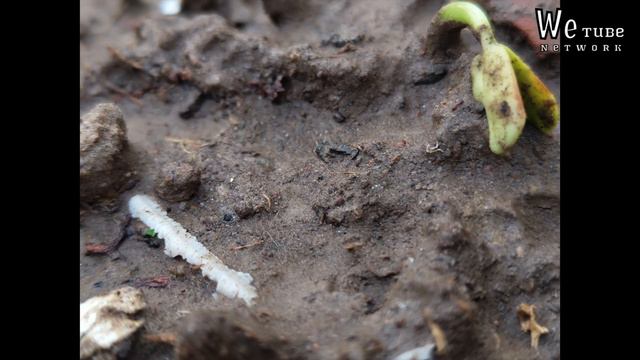 Nothing Phone 1 unboxing retail unit ₹24,372🔥 And The Truth of the Hype| Nothing Phone1 camera test смотреть онлайн