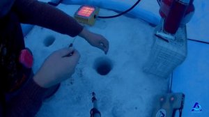 Хороший клев ельца на р. Белая. Зимняя рыбалка. Angara.