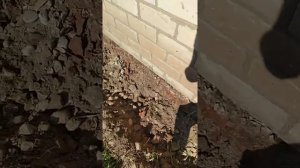Что делать? треснул дом, ремонт цоколя