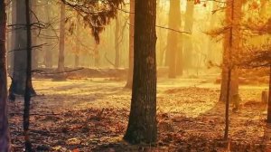 Супер сборник!!! Великолепная инструментальная музыка. Красивые пейзажи! Instrumental music!