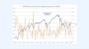 Dollar-Weighted Put Call Ratios Explained (8/1/10 Market Timing Webinar excerpt)