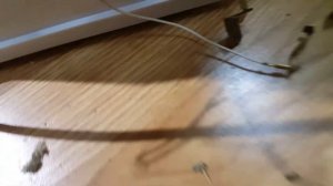 Ремонт мойки воздуха boneco