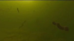 Человек! Вселенная нашего тела - микрокосмос. Мир внутри нас...