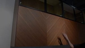 Кухня из крашеного МДФ и шпона. Современный проект кухни