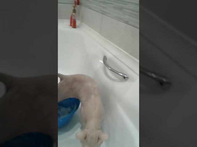 Маша моется смотреть онлайн