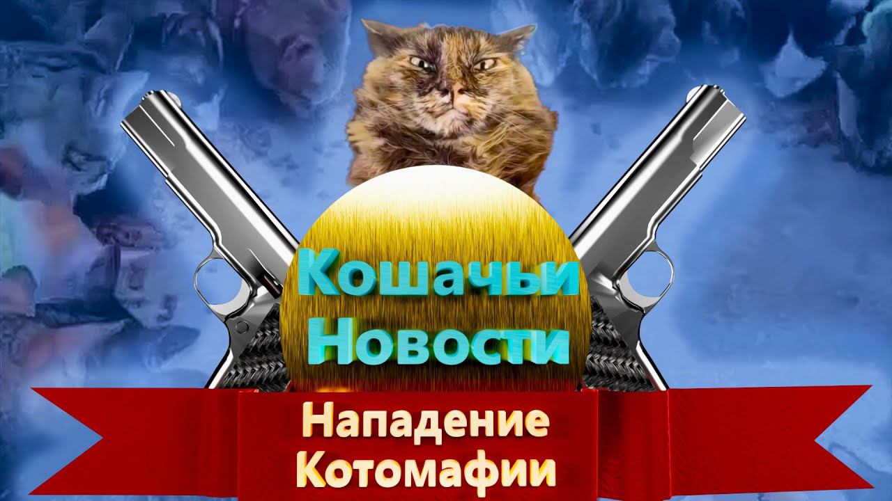 Кошачьи новости - Кошачья мафия 