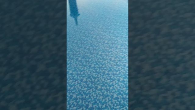 #shorts Состояние воды на 10.07.24, с момента наполнения прошло 45 дней, полёт нормальный👍😉😎 смотреть онлайн