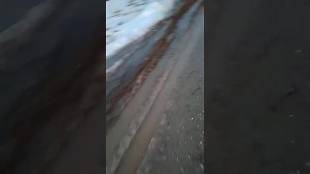 дорога к дому Коломенский городской округ деревня Большое Карасево ул Дачная