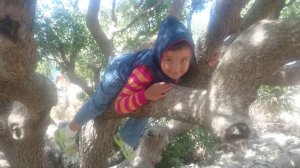14.08.2016. Оль лазает по дереву в Херсонесе.