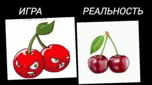 Растения PvZ в игре и в реальности