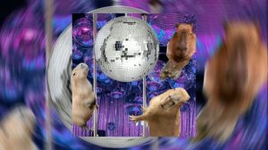 Alice DJ - Better Off Alone (speed up)