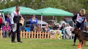 ПП 258  Black Magic Of The Sun YUCHCHI / Моно немецких овчарок ПК БРОННИЦЫ 10.08.2024