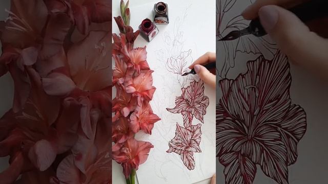 Процесс графики гладиолусов тушью смотреть онлайн