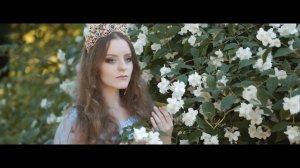 Валерия  -   Хризантемы