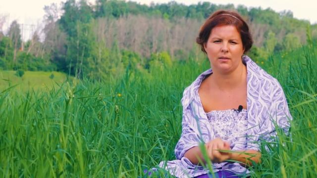 Где рожать? Родильный дом. Роды в роддоме. Дети выживание вида17 серия.