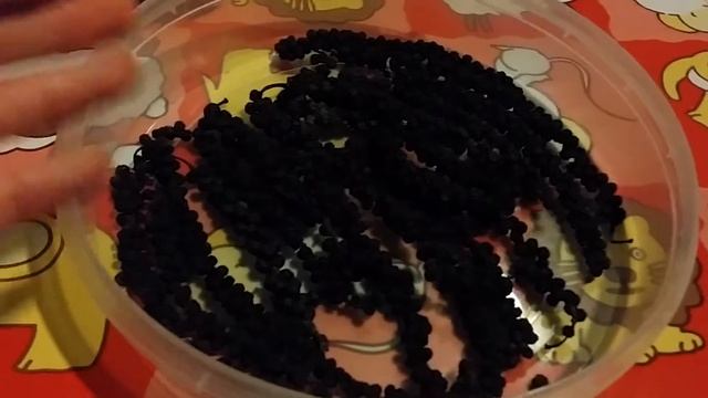 Как я делаю черный перец горошком