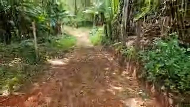 ДОРОЖНОЕ СТРОИТЕЛЬСТВО смотреть онлайн