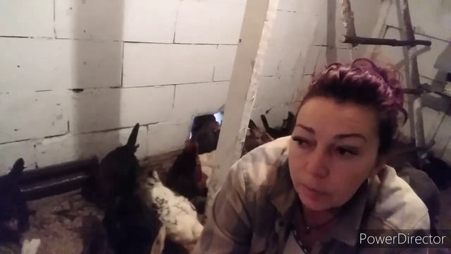 ✔#влог//Какие Куры?//Я Всё Даю Курам , а Они Не Несутся!//Просто Жизнь.