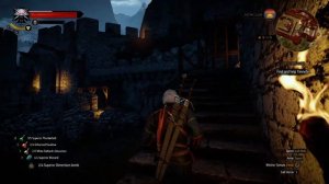 Let's Play The Witcher 3 : Wild Hunt Part 234