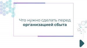 Что нужно сделать перед организацией сбыта