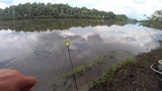 Вот и КРУПНЯК активизировался ! Ловля ЛЕЩА на ОКЕ ! Рыбалка на леща 2021! смотреть онлайн