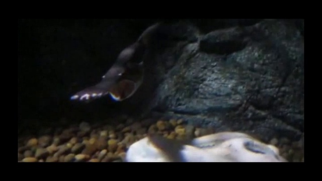 Самостоятельное путешествие по Тайланду. 3 часть смотреть онлайн