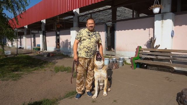 ЗАЧЕМ ТЕБЕ СОБАКА? Удивительные ИСТОРИИ ДВОРНЯЖЕК! Дрессировка собак. БОСКО