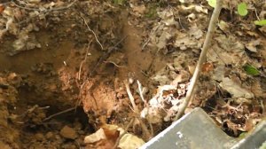 Коп, металлоискатель гарретт ат про поиск в лесу