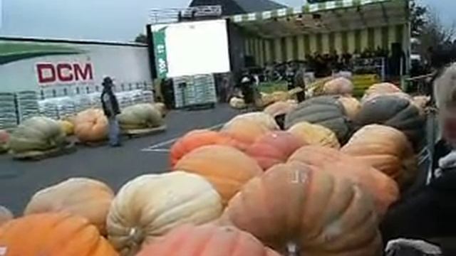 ГИГАНТСКИЕ ТЫКВЫ смотреть онлайн