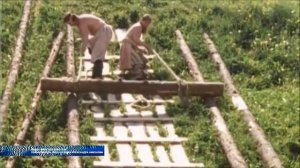 История об основании крепости Воронеж