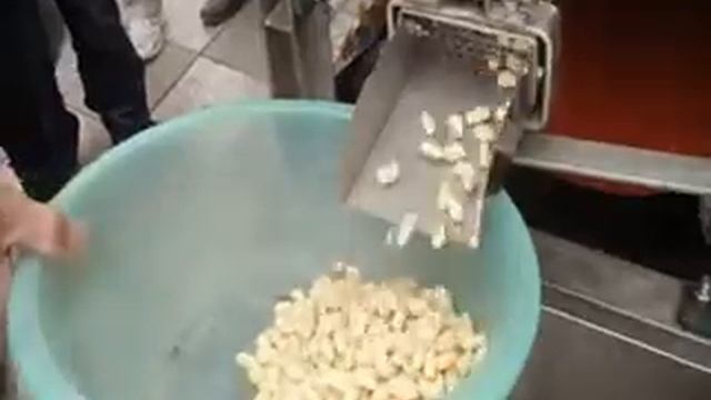 Бланширатор арахиса (установка для очистки от шелухи после замачивания: P.F.M.G.-компани. смотреть онлайн