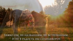 Очень грустные и красивые стихи