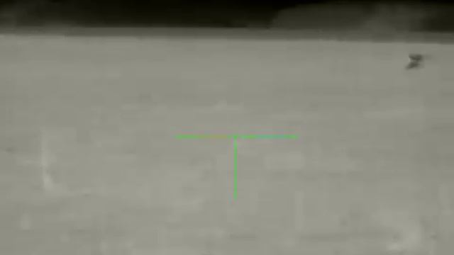 Лоси в тепловизор GENI GL35R смотреть онлайн