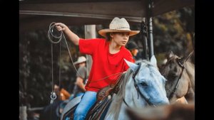 Родео. Укротить бычка. Самое интересное.