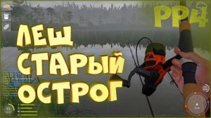 Лещ на Старом Остроге • Русская рыбалка 4 • Фарм монет и опыта Ловля на фидер