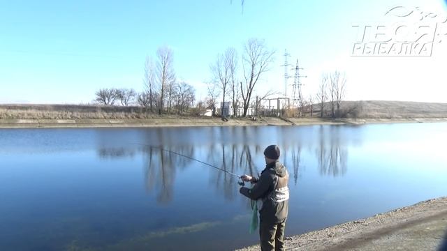 Favorite Impulse. И окуневое эльдорадо. смотреть онлайн