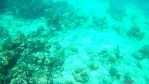 Куба. Карибское море 05.24