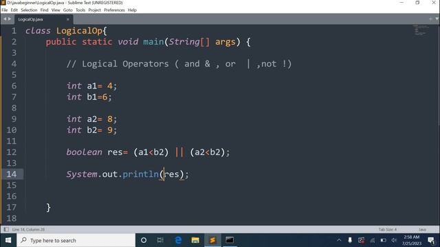 Logical Operators in Java | Examples of Logical Operators in Java | java | 9