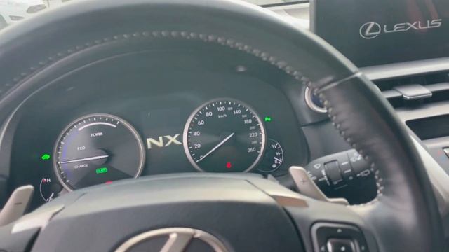 Покупка авто из Европы (Швеции). Lexus NX300H 2019 г.в. смотреть онлайн