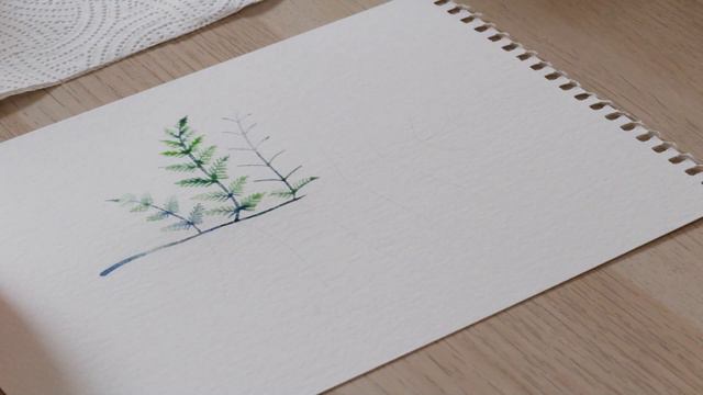 How to paint a watercolour fern