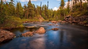 Мужчина предложил раздельный бюджет, а когда женщина подсчитала стоимость своих услуг, то...
