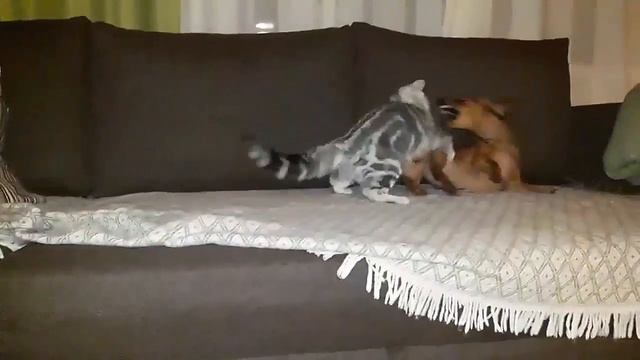 Игрища без правил смотреть онлайн