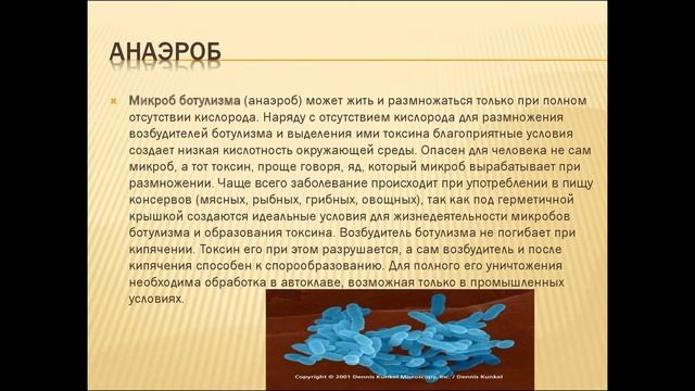 Септик, как выбрать? Рекомендации, аргументы и примеры разных септиков. смотреть онлайн